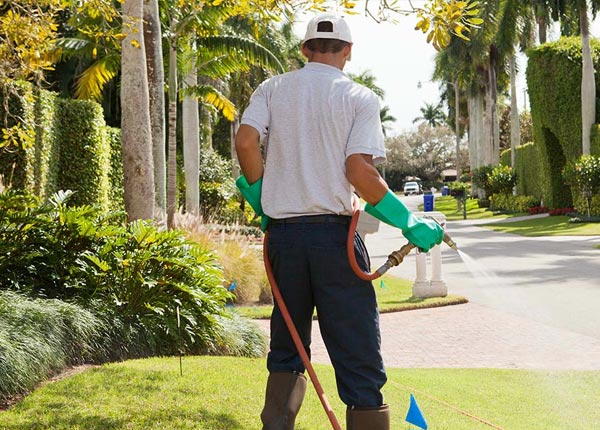 About Cherryville PA Pest Control Pros